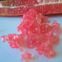 핑거라임 핑크펄 / 캐비어 라임 접2년 FT59