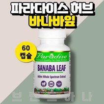 파라다이땡 허브 바나바잎 60 캡슐 파라다이스 코로졸산 코로솔산 고약사 약들약