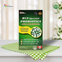 캐나다 100억 유산균 프로바이오틱스 H19 임산부 2개월분, 500mgx60캡슐(30g), 1박스, 30g x 1박스