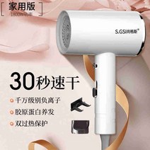 저소음드라이기 접이식 업소용 차이슨 미용실 여행용 항공모터 미니 휴대용, 존향호월백 1800 음이온 인버터