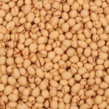 [인생건어물]오징어해씨볼 1KG, 1개