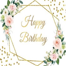 스튜디오 용품 Laeacco 사진 비닐 생일 배경 골드 프레임 핑크 팜파스 잔디 꽃 샤워, 27.Vinyl 60x40cm - NWH11543