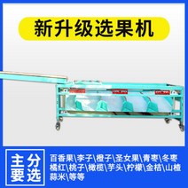 스마트 과일 채소 선별기 분리기 감자 토마토 사과 자두 귤 매실 대추, 11채널 스피드 컨트롤