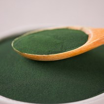 클로렐라 분말 가루 150g, 1A25_클로렐라 분말 가루 150g