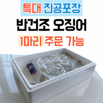 국내산 반건조오징어 피데기 특대 진공포장 170g, 5개