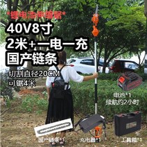 무선 높은 가지 치기 전기톱 고지 고지대 충전식 수목, 40V 8인치 2m