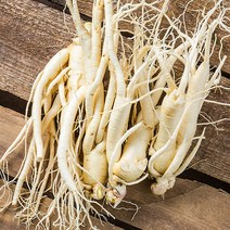 금산 인삼 350g 세척 수삼 인삼꽃주 삼계삼 난발삼 아카시아꿀 동강이 꿀절임 파삼 막삼 가정용삼 인삼차, 09_1I9U_세척원수삼(소)375g
