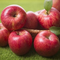 사과 경북사과 부사 못난이 꿀사과 5kg 10kg, 햇부사(정품+흠과)10kg 40과 내외, 1개