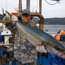 겨울낚시복 빅사이즈 점퍼 3XL 4XL 밀리터리 방수 방한복 작업복 단체 동호회 팀복, 브라운카모