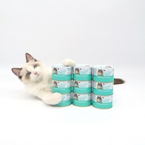 동동이네 고양이 습식사료 전연령용 대용량 주식캔 구내염예방 고양이캔 사조 옵티원 부스트 닭안심 맛살 160g, 10개