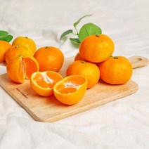 [청정제주직송] 온가족 입맛에 딱! 제주돌담 고당도 조생귤 감귤, 1박스, 4.5kg (꼬마과)