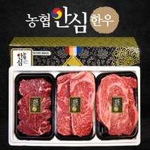 [100% 품질보증제] 투뿔 정품 농협안심한우 구이용 한우 소고기 선물세트 추석 명절 선물세트 [9월25일 10시이전 주문시 명절전 도착], 05. 한우 1++ 프리미엄선물세트 6호