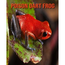 Poison Dart Frog: Amazing Facts about Poison Dart Frog Paperback, Independently Published, English, 9798551406099
