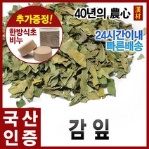 자애인 국산 감잎 300g 시엽 감나무잎 경북영천, 단품