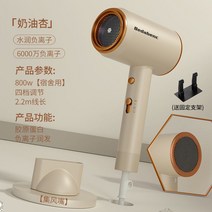 무선드라이기 .드라이기가정용 정음 두발보호 숙소용 타입학생 크기 파워 헤어드라이어 냉온수, C03-콜라겐 단백질-1800w대출력, T03-버터 살구