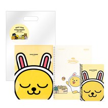 카카오프렌즈 학용품세트 문구세트3500, 카카오문구세트3500(무지SET)
