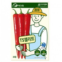 TS엘리트 30립 복합내병계 고추 씨앗 종자 연속착과 극대과 역병 강한 다수확 품종 고추파종