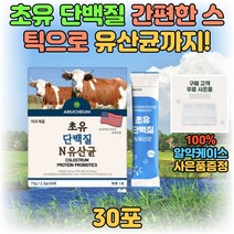 프리미엄 초유 단백질 유산균 분말 가루 스틱 파우더 프로틴 보충제 프락토올리고당 락토바실러스 가세리 루테리 엘지지 마시는 맛있는 쉐이크 성인 어른 분유 아르기닌 비타민 미네랄