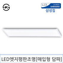LED 엣지평판조명 1200X300 [매입형 담파](DY-114), 40W 4000K주백색 KS
