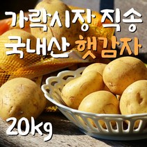 [당일가락시장경매] 국내산 감자 포슬 햇감자 수미감자 두백감자 저장감자 5kg 20kg, b-2.저장감자 20kg (대)