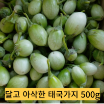 동남아야채 마크아 태국가지 커밋가지 500G Kermit Eggplant, 1개