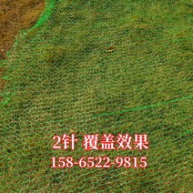비산 먼지망 메쉬망 분진 그물 2 4 6 8핀, 2핀 8 30m 그린