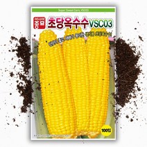 씨앗팜 초당옥수수씨앗 (100립) 단맛이 아주 좋은 생식용