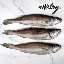 대천해 반건조 민어 900g(3미) 1미 X 3팩