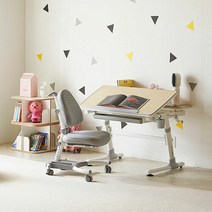 위드그로우 아이비 2.0 높이각도조절 책상+지니의자 Y402S SET, 책상핑크+의자그린+의자커버레드
