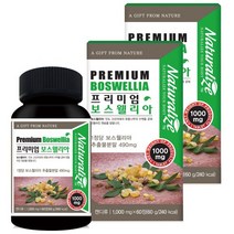 네추럴라이즈 프리미엄 보스웰리아 60정 2박스
