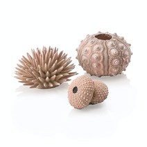BiOrb 성게 세트 천연, natural