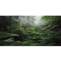 AWERT 안개 숲 테라리움 배경 녹색 나무 파충류 서식지 배경 열대 우림 수족관 배경 91.4x45.7cm 폴리에스터 배경 266707, 48x24in/120x60cm