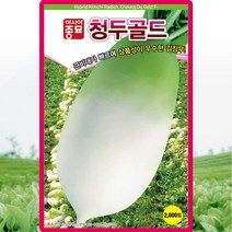 청두골드 무 씨앗 청두골드 무우 씨 종자 2000립, 청두골드2000립