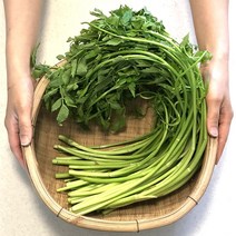 향긋한 세척 돌미나리, 1kg, 1개