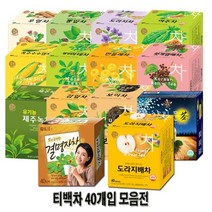 송원 보이/감잎/여주/뽕잎/야관문/결명자/우엉/헛개열매/도라지/민들레/마테/옥수수수염/도라지배차/유기농제주녹차 40티백, 송원 웰빙 마테차 40T