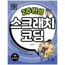 2주완성 스크래치코딩 기적특강, 상품명
