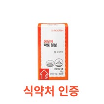 닥터루템 헤모어 락토 철분 60정 식약처인증 고함량 비타민C 비헴철 무첨가 여성 필수 철분제 임산부 어린이 청소년 여성 유기농 유산균 추출 천연 자연 유래 영양제, 12개