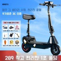 기함급전동킥보드 듀얼 로드 고성능 고스펙 전동스쿠터, 표준 브러시드 24v 블루 50~60마일