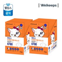 KF80 중형 25개입x2박스