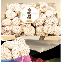 백화고 표고세트 특호 강원도 참나무 표고버섯, 단품