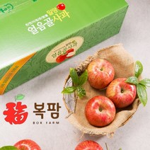 신복농원 [복팜] 밀양얼음골사과 햇부사 [흠과7kg] 가정용사과 산지직송 GAP농가 농부직송, 1박스, 흠과 7KG-소과