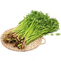 무농약 청도 한재미나리 1kg x 2 (봉)