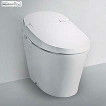 대림바스 DST-800도기일체형비데 자동물내림 자동개폐