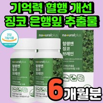 인지력 개선 실버 플라보놀배당체 뇌 건강 기억력에 좋은 공부 시험 합격 선물 은행잎 추출물 고등학생 진코 80대 노인 두뇌 시니어 GINKO 뇌에 좋은 집중력 높이는 영양제 추천