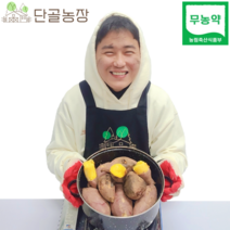 산지직송 해남 친환경 무농약 유기농 고당도 스테비아급 고구마 베니하루카, 3kg/한입/개당 50g이하