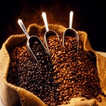 International Coffee Sampler Dark Roast Coffee Beans (Brazil Cerrado Arabica - Natural 17/18 Screen, 1