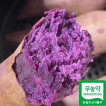 22년 해남 무농약 햇 자색고구마 3kg 5kg 10kg, 해남 무농약 자색고구마 5kg(중), 1개