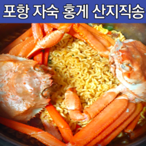 [자숙홍게] 감동농수산물 강원도 홍게 홍개 후포 홍게 제철 후포항홍게 연지 홍게 파지 동해홍게살 활홍게 파지 홍게 당일배송 육수용홍게 속초 라면용 홍게 영덕 자숙 포항 구룡포 택배, 자숙 육수용 홍게 (소/중) 10마리