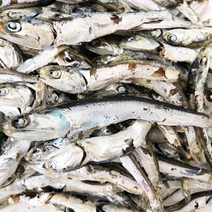 [며르치] 남해안 다시 멸치 육수용 국물용 멸치 1.5kg