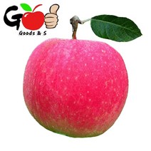 [20%쿠폰] (10kg 파격초특가) 아삭아삭 새콤달콤 부사 햇사과 10kg(대중소혼합)